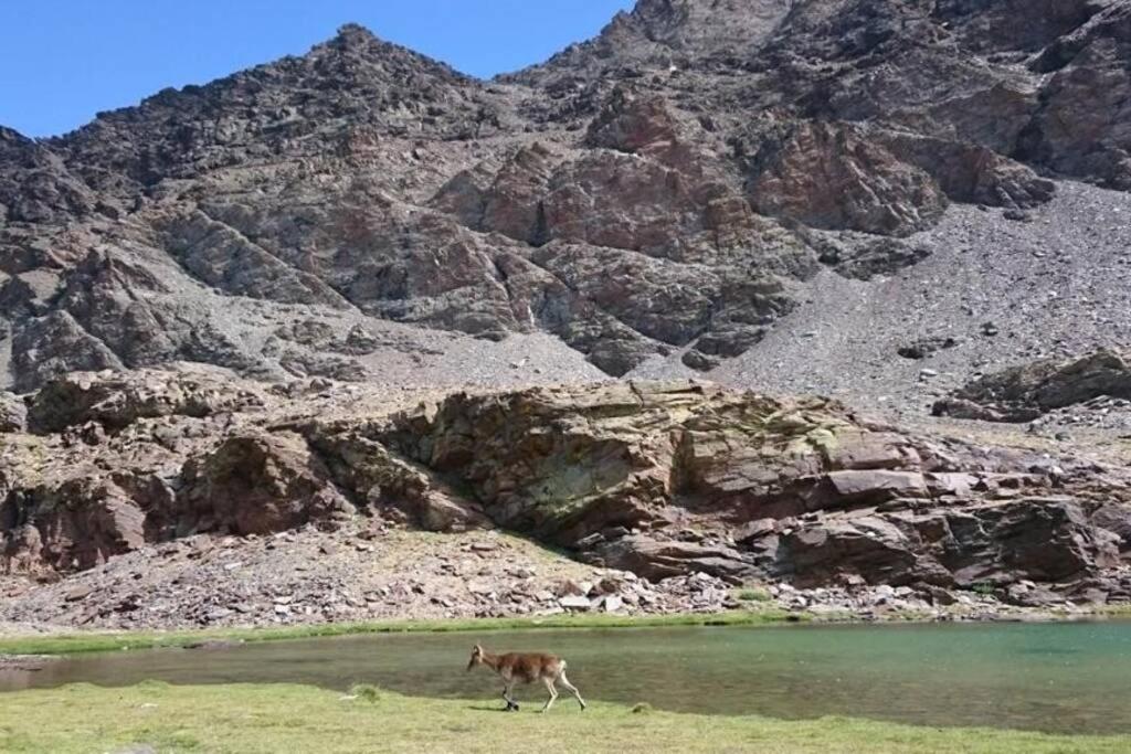 הוילה בוביון Casa La Solea. Vistas Al Pueblo Y La Sierra מראה חיצוני תמונה